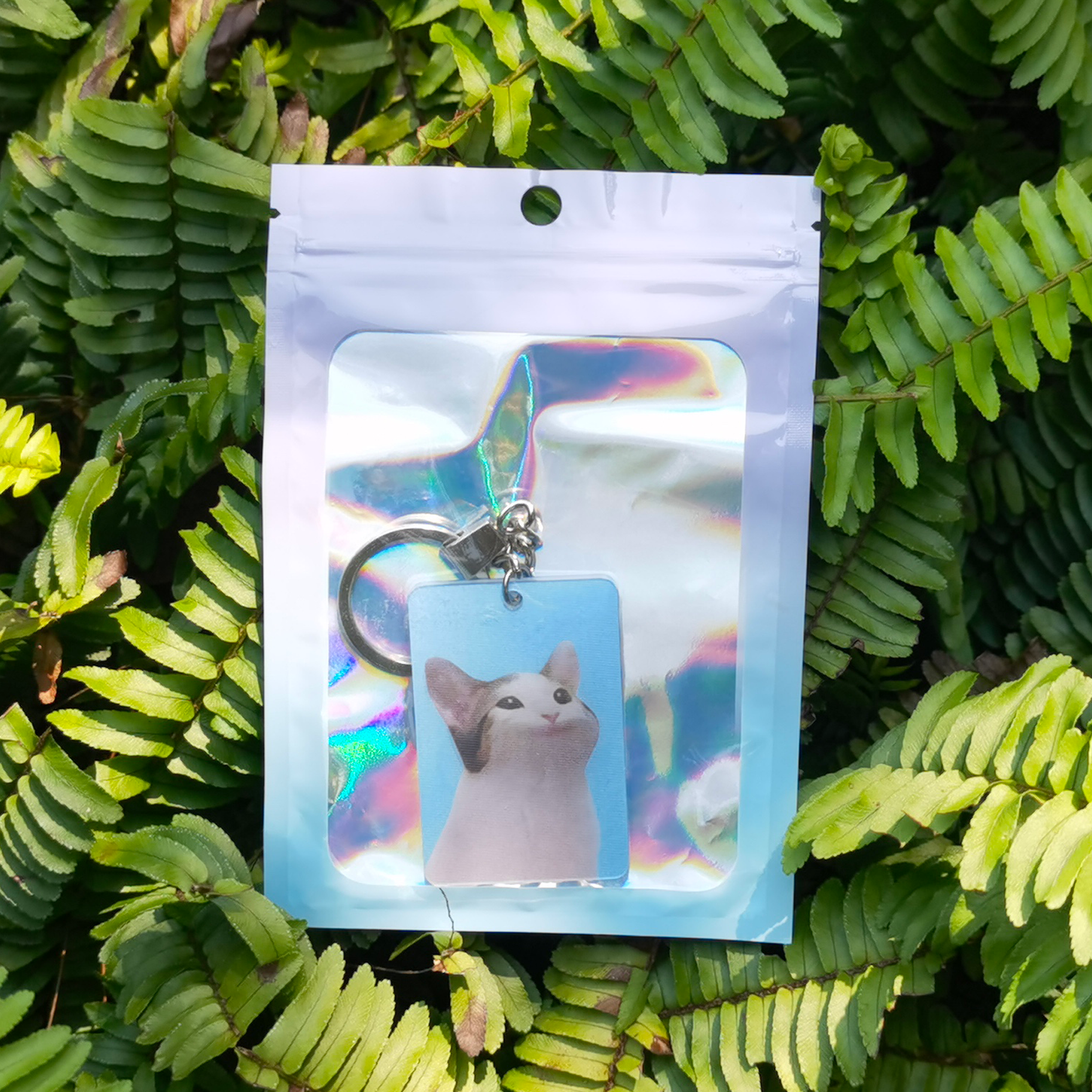 Pop Cat Gif Charm